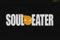 Soul Eater 10