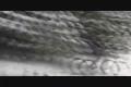 malinko bikesnow