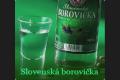 Arash - Boroborovička