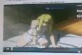full metal alchemist