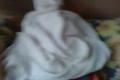 uspavanie leusky