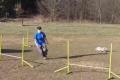 Agility trénink - březen