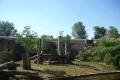 zoo