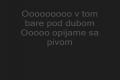50%Panna- v bare pod dubom