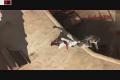 Altair life