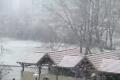 Let it snow